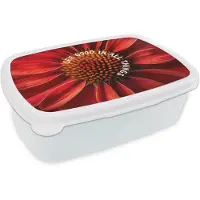 MuchoWow Broodtrommel Wit - Lunchbox Close up - Bloem - Quote - Rood - Brooddoos 18x12x6 cm - Brood lunch box - Broodtrommels voor kinderen en volwassenen