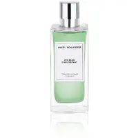 Angel Schlesser Mediterranean Cypress Eau De Toilette Spray - 100 ml