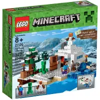 LEGO Minecraft De Sneeuwschuilplaats 21120