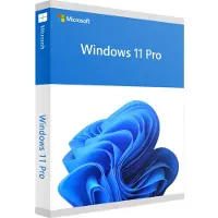 Microsoft Windows 11 Pro 64 Bit DVD OEM NL