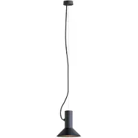 Wever & Ducre Roomor Cable PAR16 Hanglamp Roomor 1.1 | Black Matt | 2.5 m