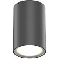 Wever & Ducre Tram Outdoor Plafondlamp Anthracite Grey