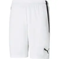 Puma Shorts teamLIGA - Wit