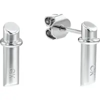 Calvin Klein - Rvs Oorbellen Voor Dames