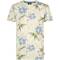 Petrol Industries Shirt 'Fisherway' beige / gemengde kleuren