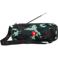 Gembird Draagbare BT speaker Camouflage + FM Radio