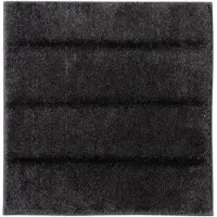 Casilin Ray Bidetmat Anthracite - 60 x 60 cm