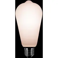 Expo ETH Edison ST64 LED 1w/2w/4w E27 230v 2200k 90/170/300l 3 stappen dimbaar mat opaal