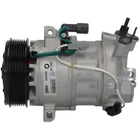 Valeo 690750 Aircopomp