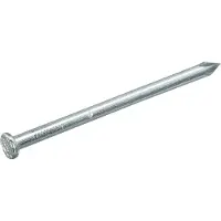 Homefix Draadnagel Blank Pk 5.5X140 | 1 kg - 6702.40.00130