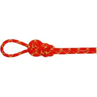 Mammut - 8.0 Alpine Core Protect Dry Rope - Halftouw 70 m, rood/wit