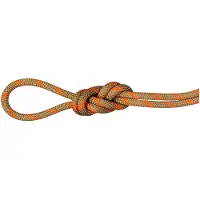 Mammut - Klimtouwen - 8.0 Alpine Dry Rope Boa/Vibrant Orange voor Unisex - Maat 70 m