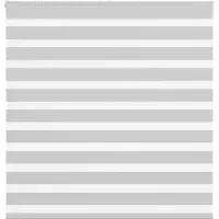 vidaXL Zebra rolgordijn 150x100 cm stofbreedte 145,9 cm lichtgrijs