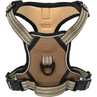 vidaXL Hondentuig met lijn en halsband, verstelbaar, bruin, L