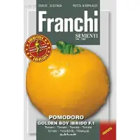 Franchi - Tomaat, Pomodori Golden Boy HY F1 106/63