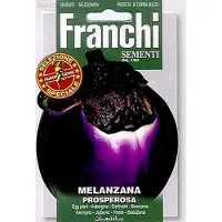 Franchi - Melanzana Prosperosa - ronde aubergine
