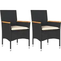 vidaXL Tuinstoelen 2 st met kussens poly rattan zwart