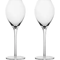 Sagaform Saga champagneglas 2-pack Transparant