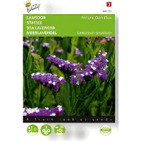 Buzzy - Zaden limonium lamsoor fortune dark blue 0.2 gram