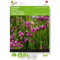 Buzzy - Zaden limonium lamsoor purple attraction 0.2 gram