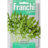 Franchi Fr Rucola Selvatica - Wilde Rucola 115/5