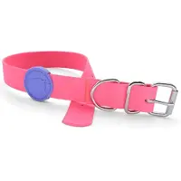 Morsø halsband hond waterproof gerecycled passion pink roze 42-50x1,5 cm