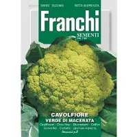 Franchi - Bloemkool, Cavolfiore Verde de Macerata 30/30