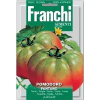 Franchi - Pomodoro Pantano - groengele tomaat