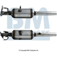 BM CATALYSTS BM11191H Roetfilter (DPF)