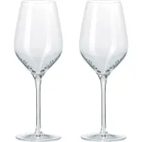 Aida Passion connoisseur witte wijnglas 42 cl 2-pack