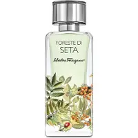 Salvatore Ferragamo Parfum - - Foreste Di Seta - Oosters - Amber - Gourmand
