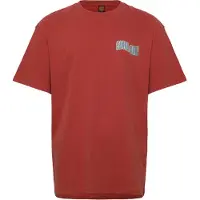 Santa Cruz Tiki Hand Strip T-shirt Met Korte Mouwen