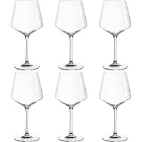 Leonardo Puccini bourgogne glazen - 6 stuks