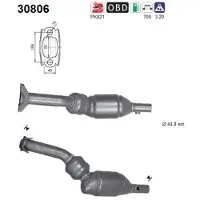 As 30806 Katalysator