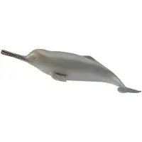 Collecta Figurine - Gangesdolfijn - (M)