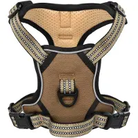 vidaXL Hondentuigje met riem en halsband verstelbaar XL bruin