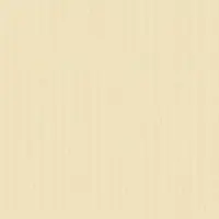 Vaessen creative Cardstock 30,5 x 30,5 cm - Beige - Raffia - 100 vellen - Textuur - 216g