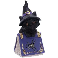 Nemesis Now - Pocus Kleine Heksen Familiar Zwarte Kat en Spreukenboek Verzamelbaar Figuur 12.7cm