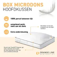 Orange Line Boxkussen - Flexofill Microdons 50 x 60 cm