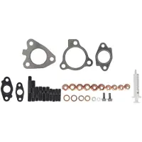 Evoron EVMK0294 Turbocharger, montageset
