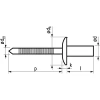 Master Popnagel Rvs/Rvs 1261 Dicht 4,8X12Mm 500
