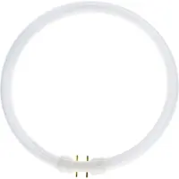 Osram O0528465 Fluorescentielamp