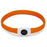 Beeztees Safety Gear Glowy - Halsband Hond - Oranje - 65x2,5 cm