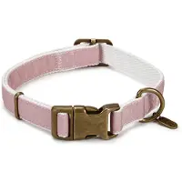 Designed By Lotte Virante Hondenhalsband