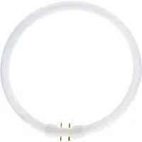 Philips Ronde TL 32W/840 TLE Coolwhite 5900612