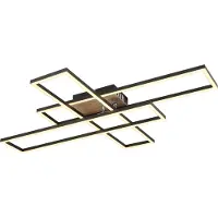 Globo Draaibare plafondlamp Dakari 40W