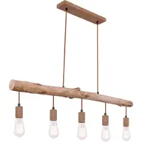 Globo Eetkamer Hanglamp Jakob Roest Bruin