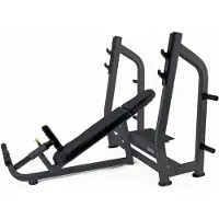 Toorx Professional WBX-B3800 Olympische Halterbank Incline