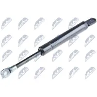 NTY AE-BM-039 Gasveer, dak