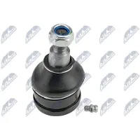 NTY ZST-MS-004 Fuseekogel